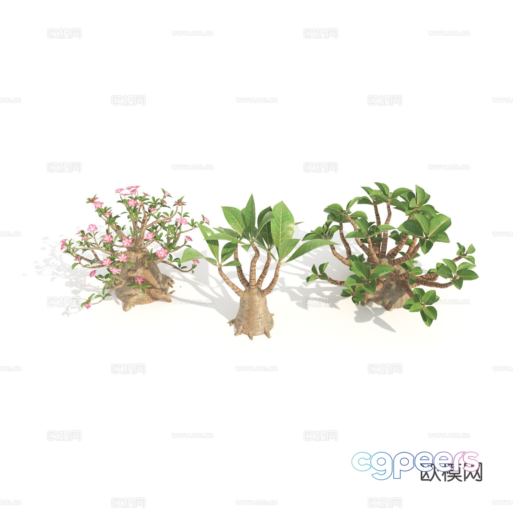 Plants Green Plants Shrubs Flowers 3d model Plants Green Plants Shrubs Flowers 3d model