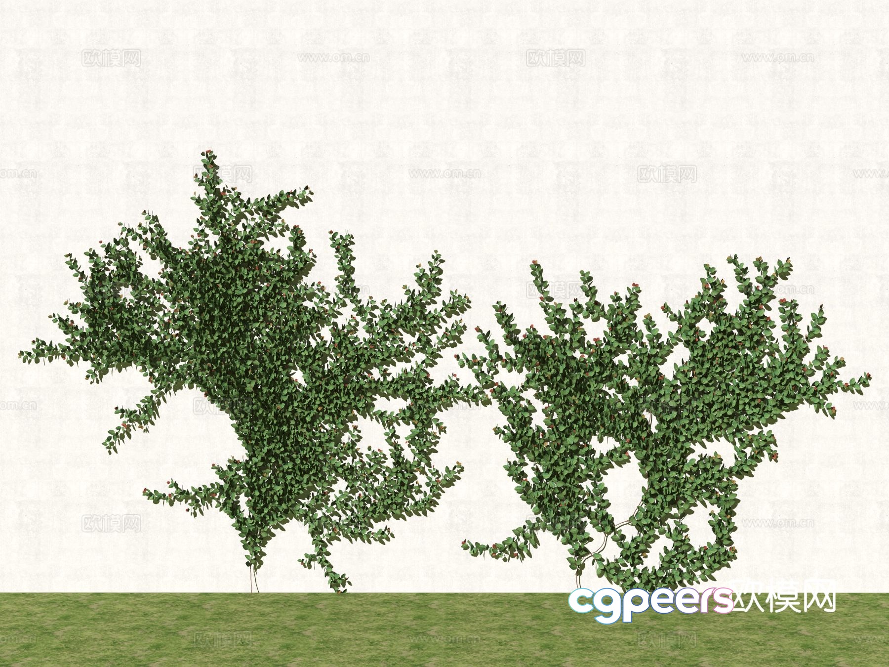 Ivy Climbing Ivy 3D Model Ivy Climbing Ivy 3D Model