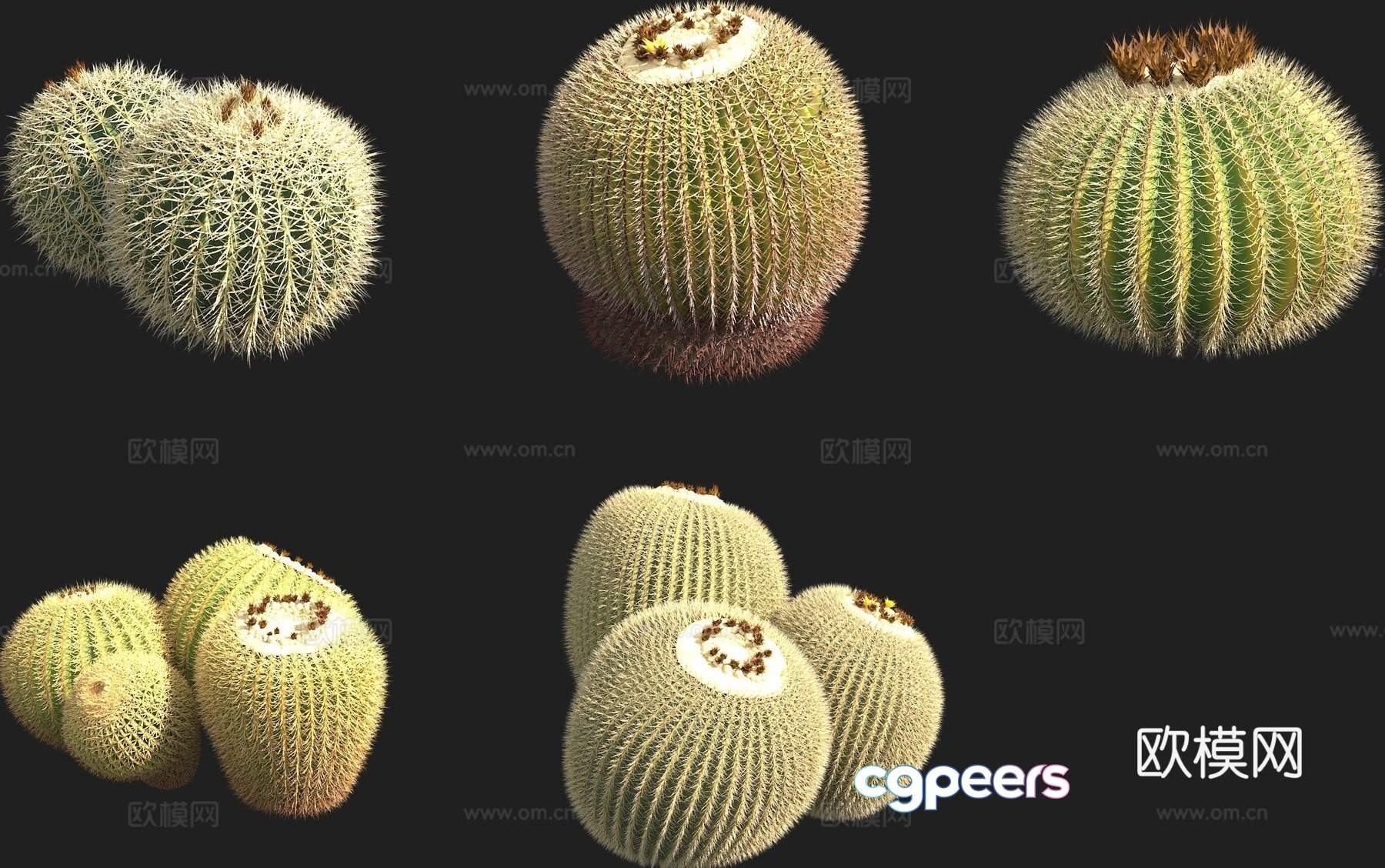 Golden amber cactus 3d model Golden amber cactus 3d model