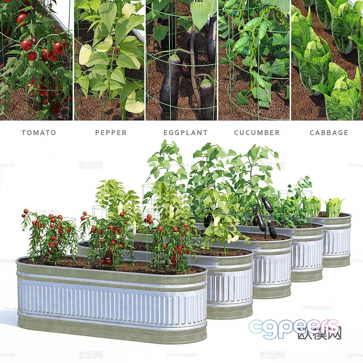 Modern vegetable garden plants vegetable farming crops 3d model Modern vegetable garden plants vegetable farming crops 3d model