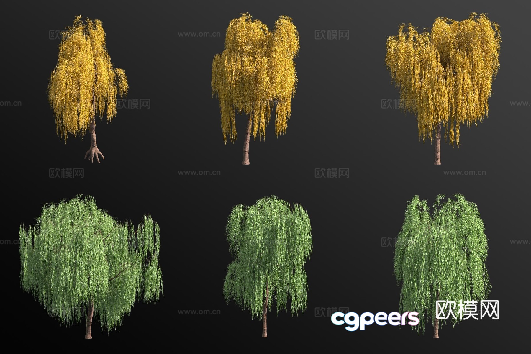 Weeping willow tree 3d model Weeping willow tree 3d model