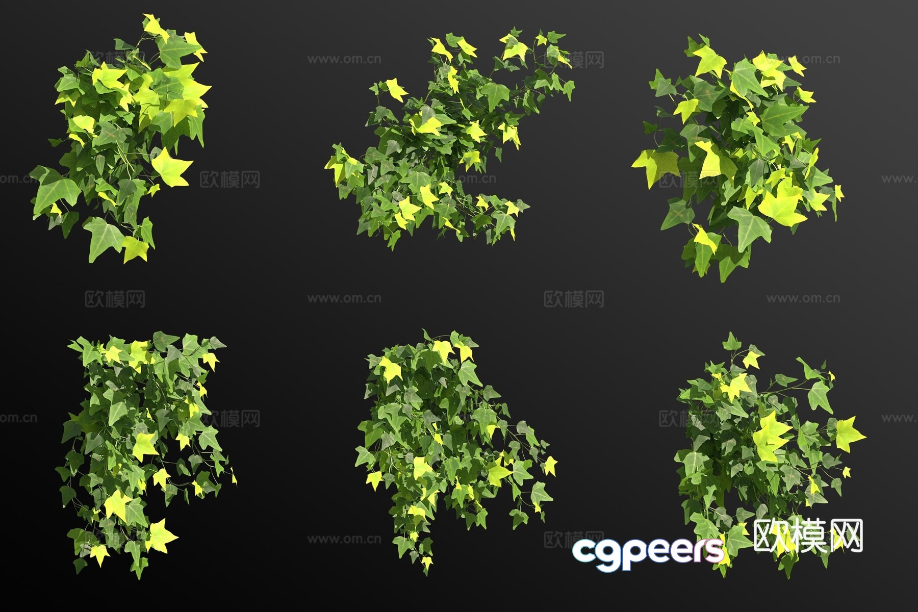 Mosaic ivy vines shrubs and flowers 3d model Mosaic ivy vines shrubs and flowers 3d model
