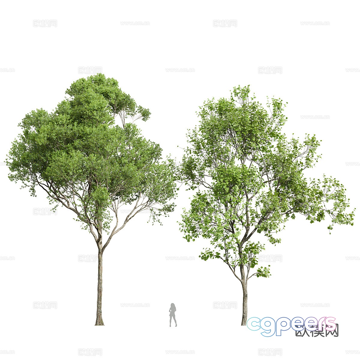 Landscape tree 3d model Landscape tree 3d model
