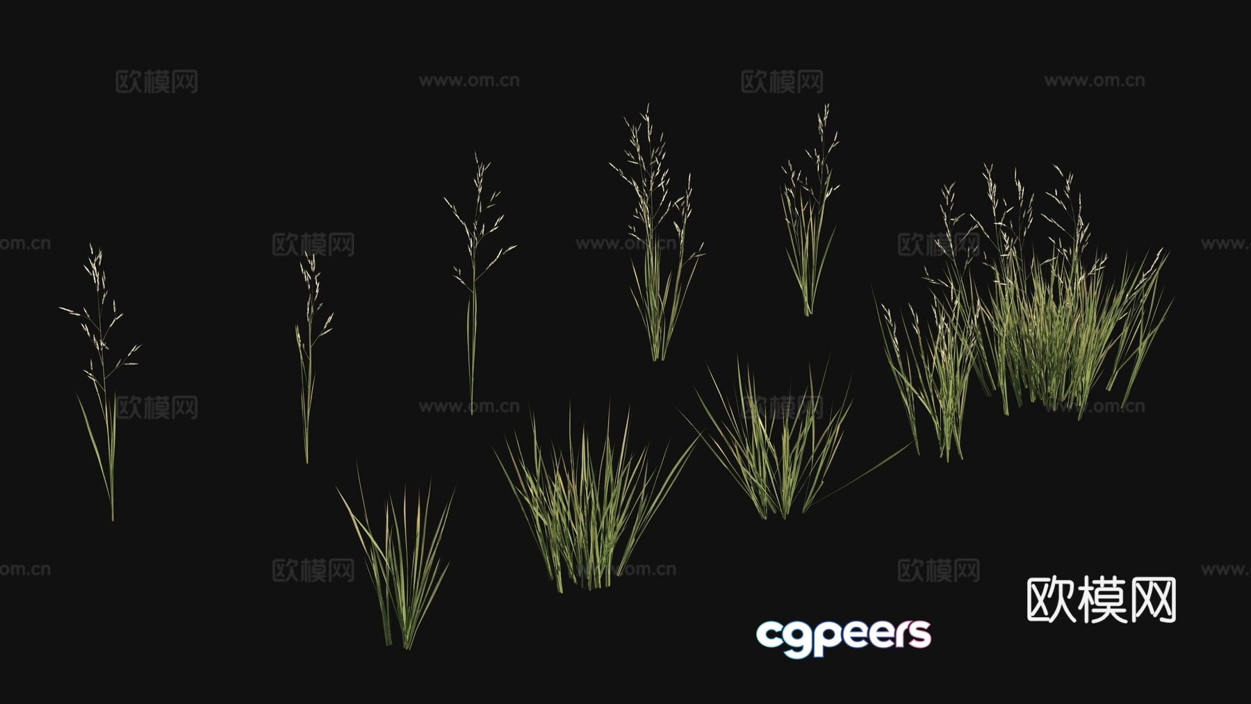 Outdoor flowers plants green plants 3d model Outdoor flowers plants green plants 3d model