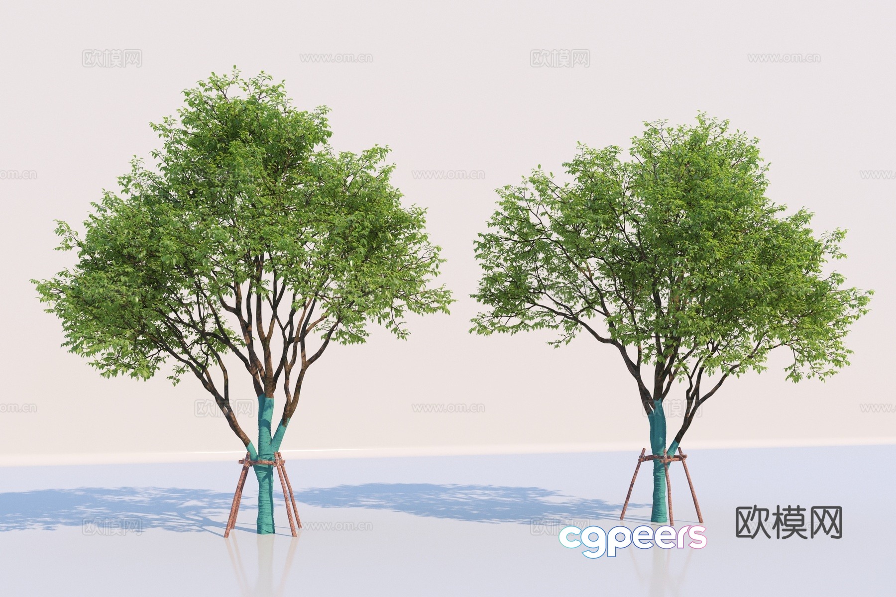 Landscape tree arbor street tree 3d model Landscape tree arbor street tree 3d model
