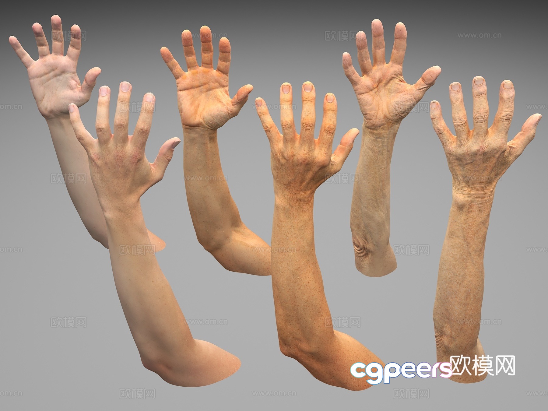 Gesture Hand Model Arm Palm Old Man’s Hand Finger Hand Man’s Hand Male Arm 3d Model Gesture Hand Model Arm Palm Old Man’s Hand Finger Hand Man’s Hand Male Arm 3d Model