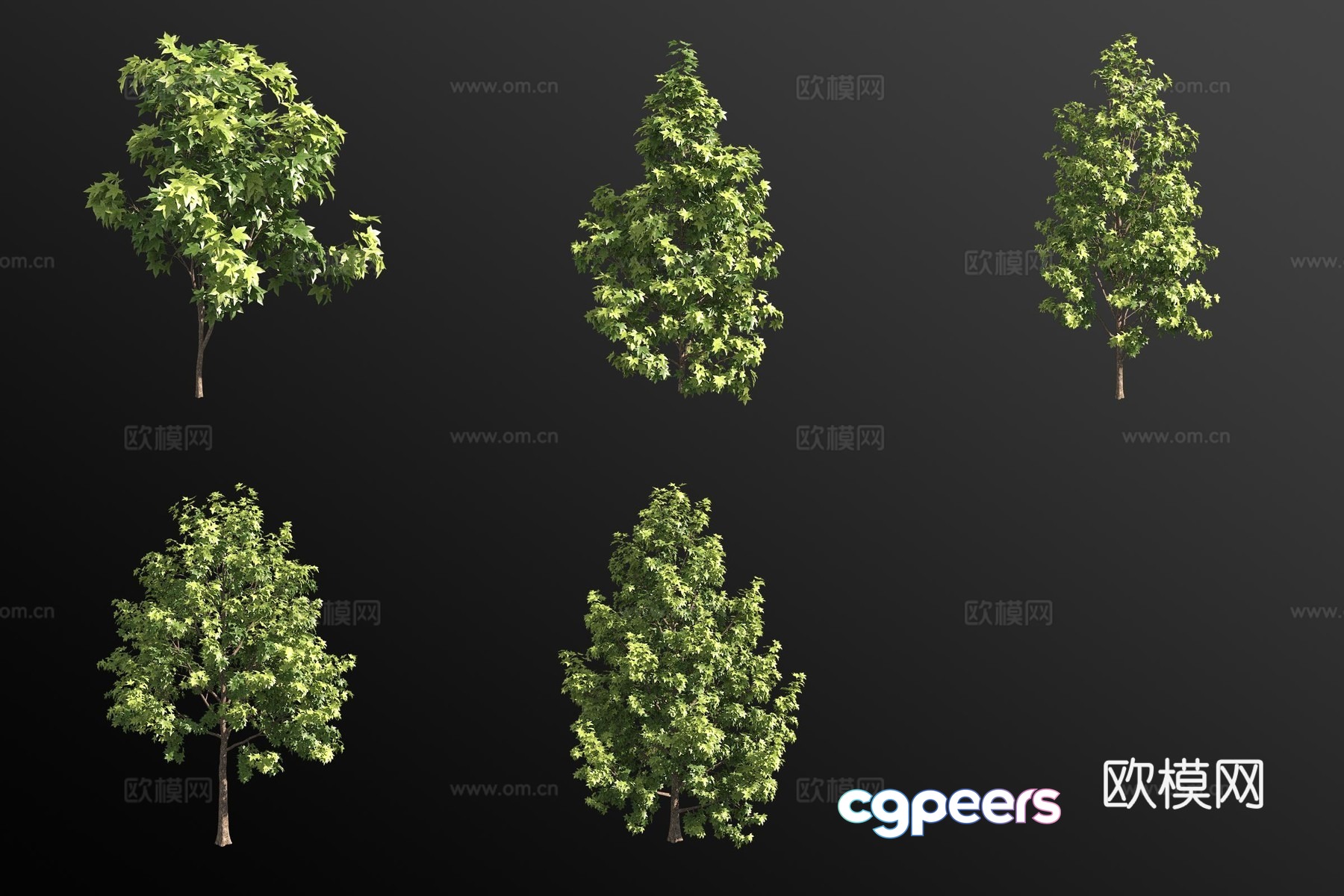 Sweet Tree Shrub Plant 3D Model Sweet Tree Shrub Plant 3D Model