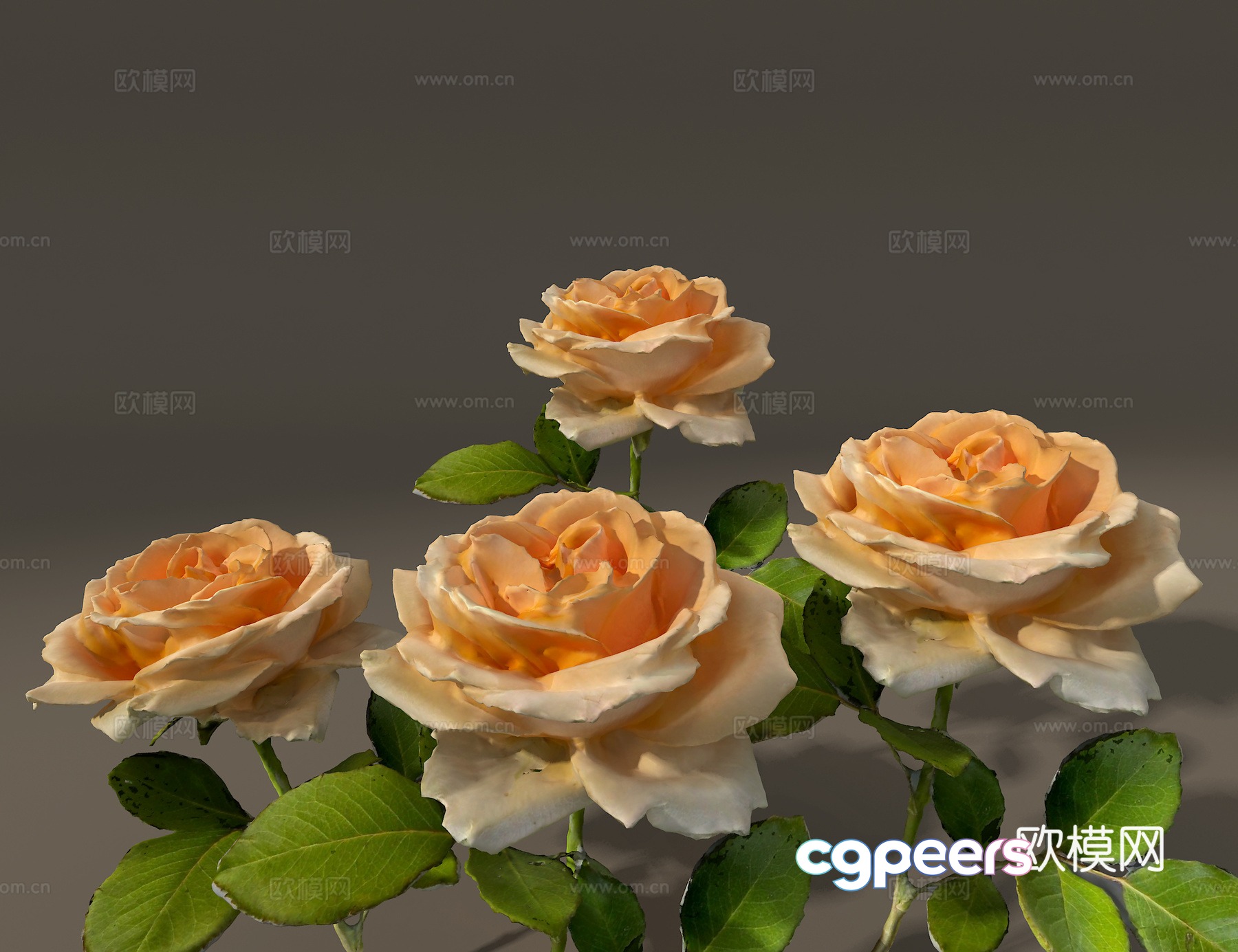 Rose 3d model Rose 3d model