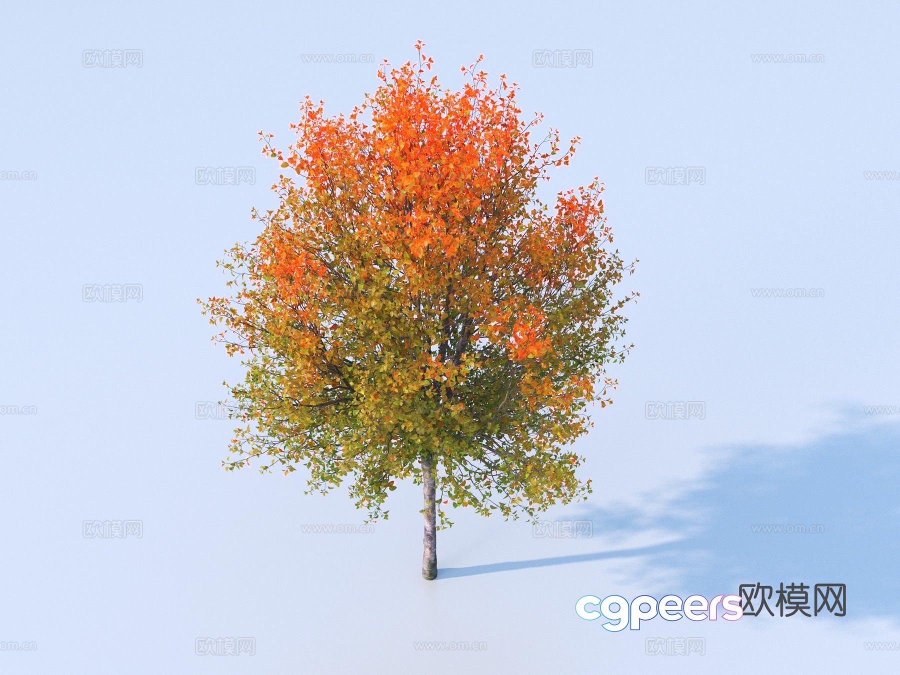 Tree Plant Yellow Leaf Tree Autumn and Winter Tree Colorful Tree Landscape Tree 3D Model Tree Plant Yellow Leaf Tree Autumn and Winter Tree Colorful Tree Landscape Tree 3D Model
