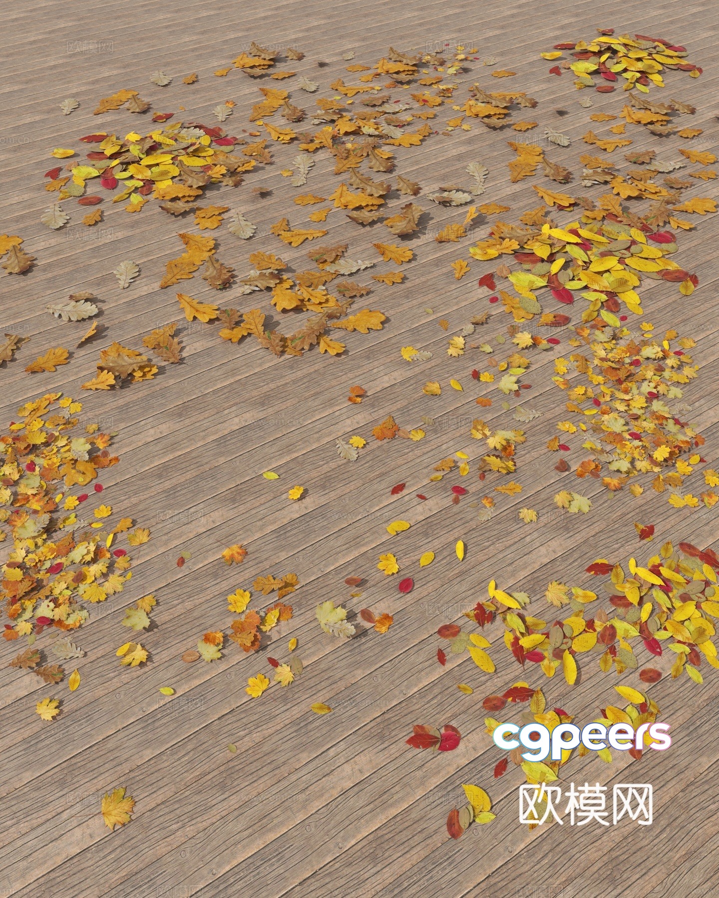 Leaves Falling Leaves Yellow Leaves Road 3D Model Leaves Falling Leaves Yellow Leaves Road 3D Model