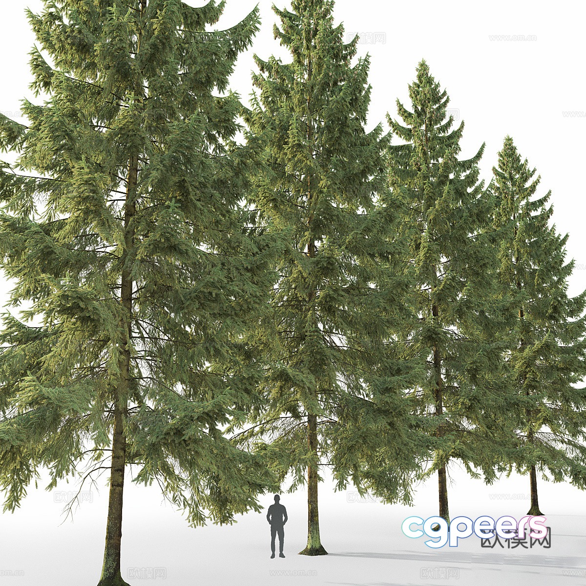 Tree Landscape Tree 3D Model Tree Landscape Tree 3D Model