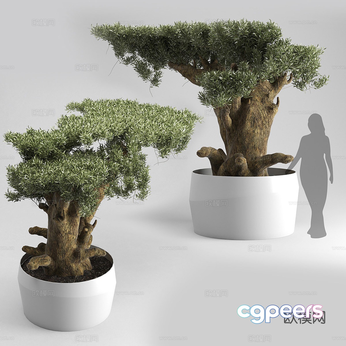 New Chinese bonsai 3D model New Chinese bonsai 3D model