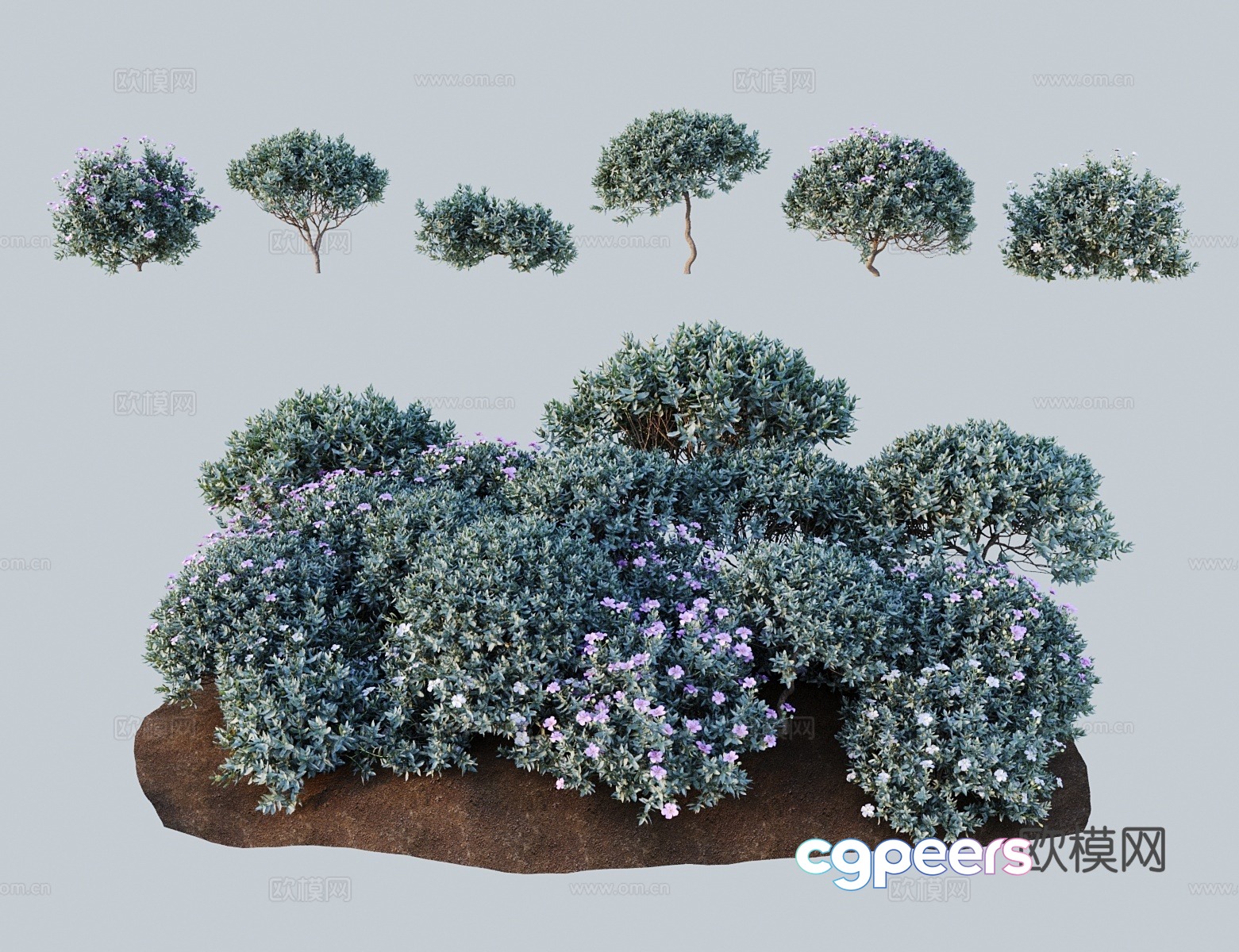 Modern shrubs white-haired rock rose rock rose 3d model Modern shrubs white-haired rock rose rock rose 3d model