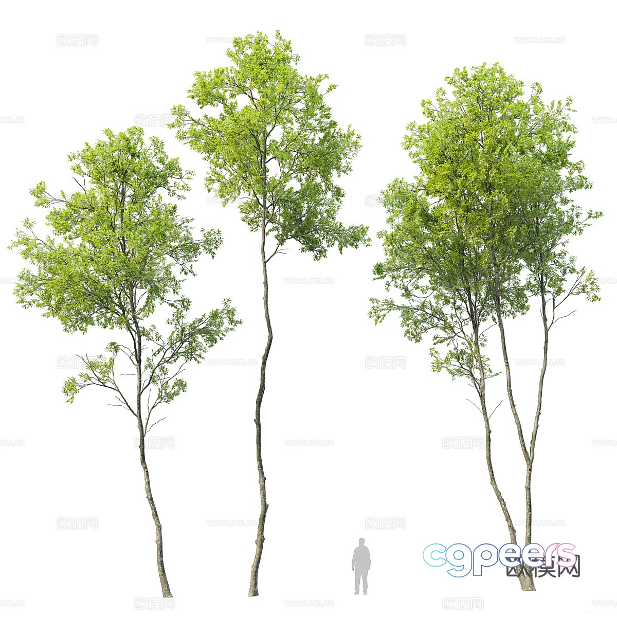 Tree Landscape Tree 3D Model Tree Landscape Tree 3D Model