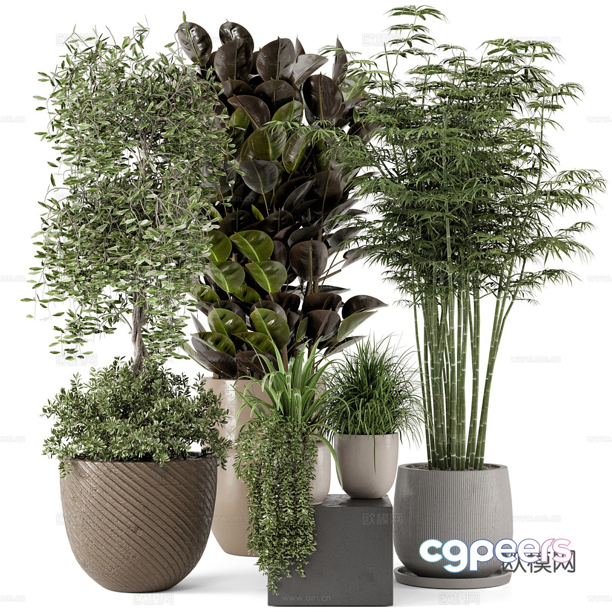 Green plant potted 3D model Green plant potted 3D model