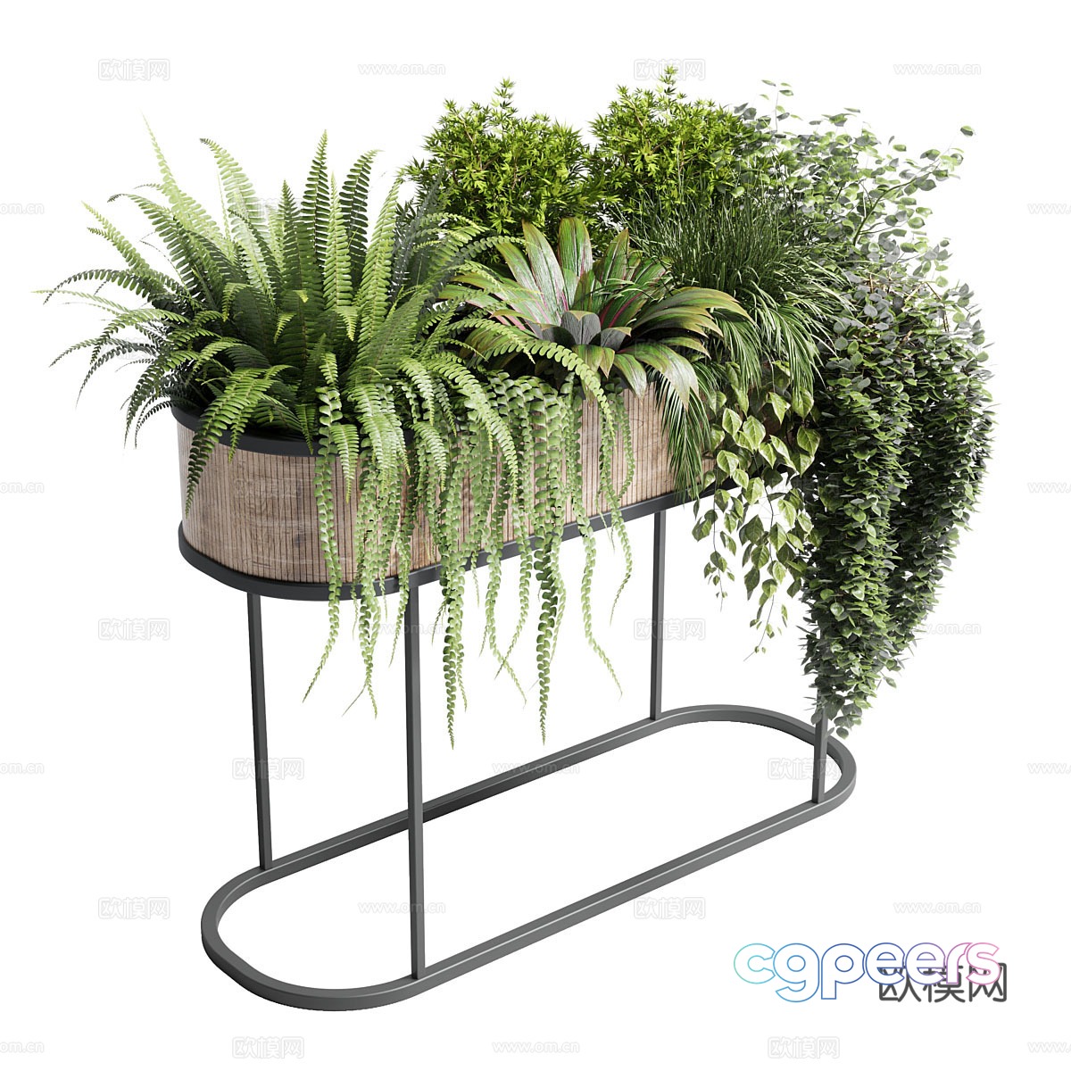 Bonsai rack 3d model Bonsai rack 3d model