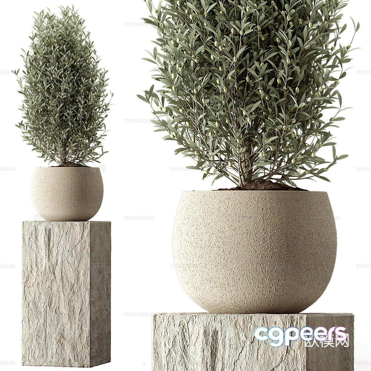 Vase flowers 3d model Vase flowers 3d model