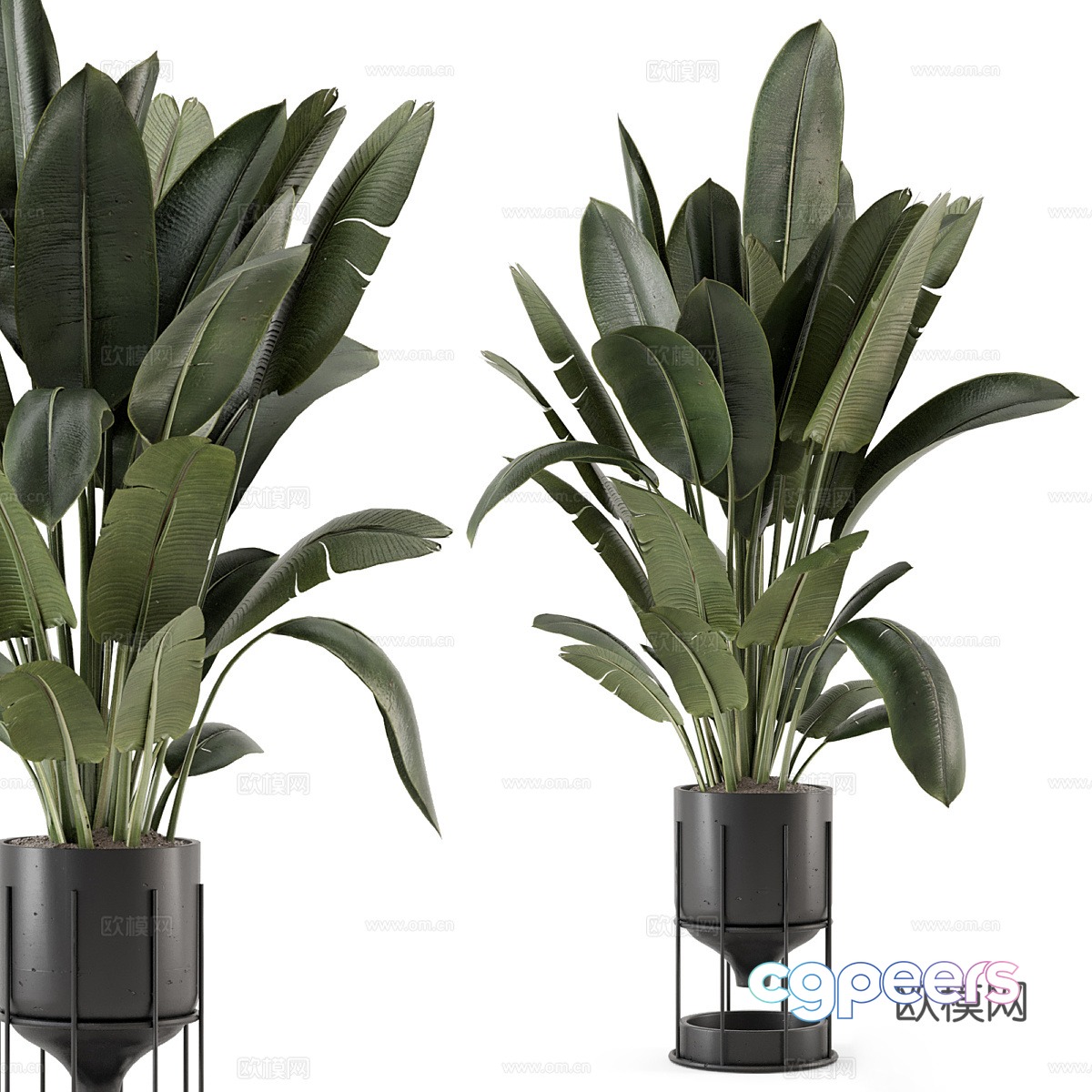 Vase flowers 3d model Vase flowers 3d model