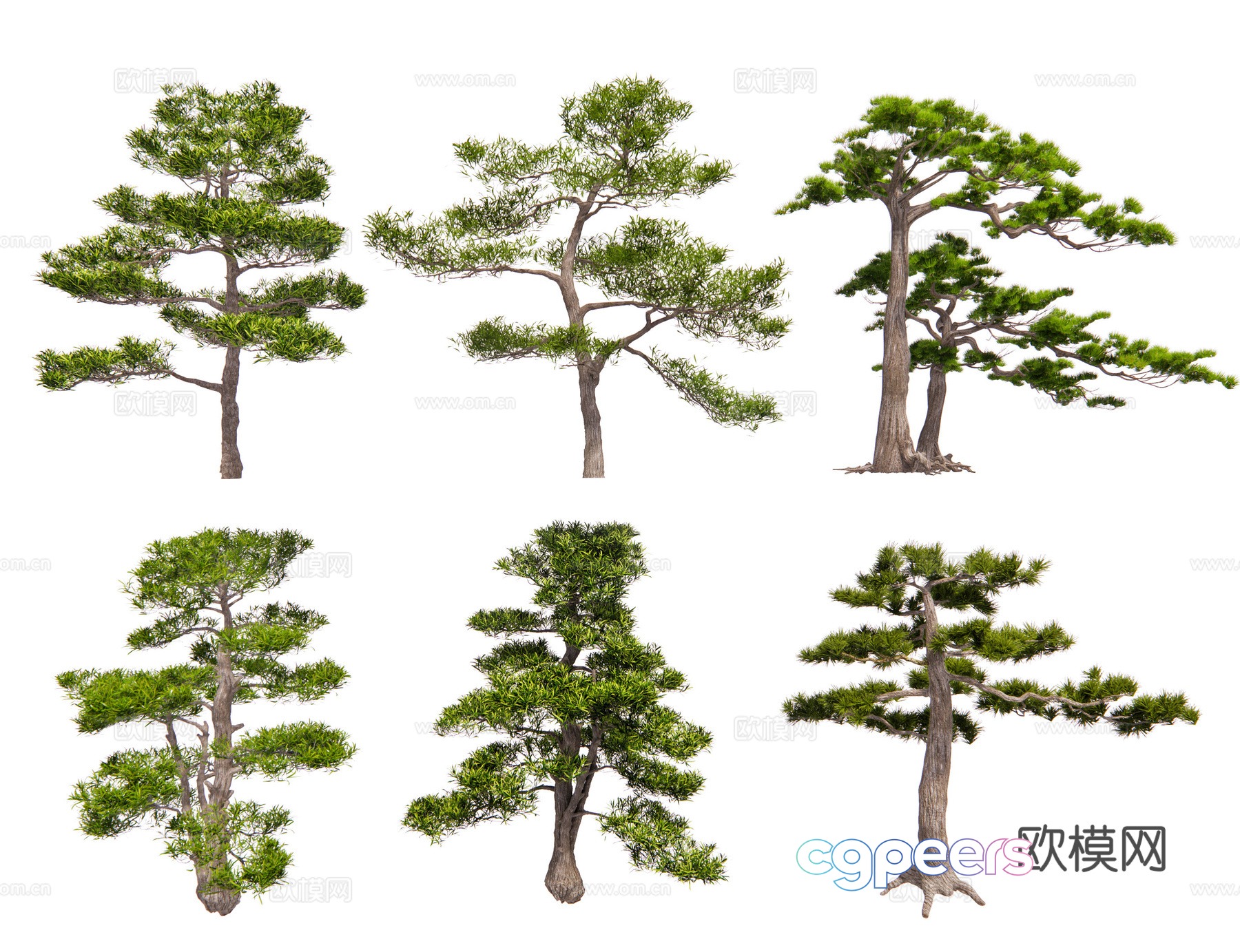 Chinese style pine black pine pine pine pine oil pine welcoming pine pine pine shape tree garden pine 3d model Chinese style pine black pine pine pine pine oil pine welcoming pine pine pine shape tree garden pine 3d model