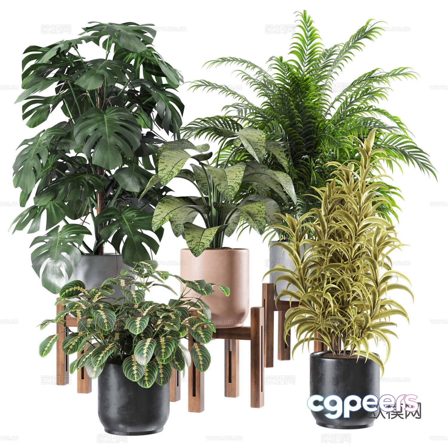 Plant potted 3D model Plant potted 3D model