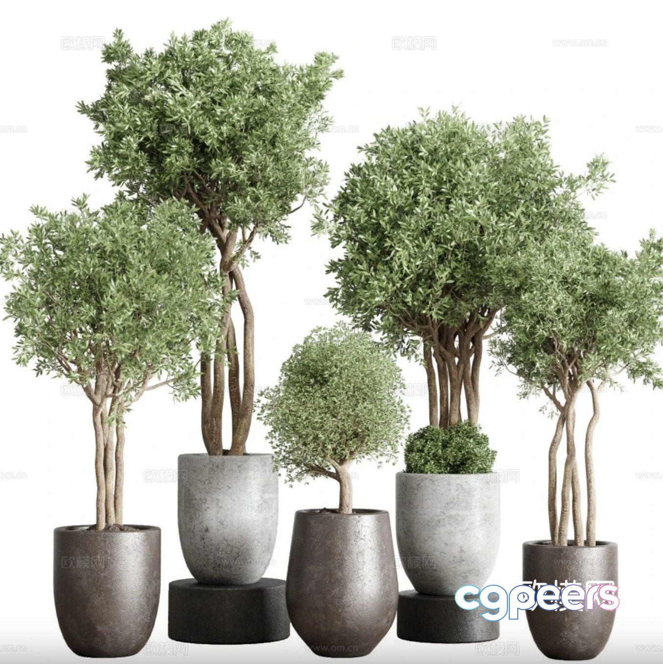 Green plant potted 3D model Green plant potted 3D model