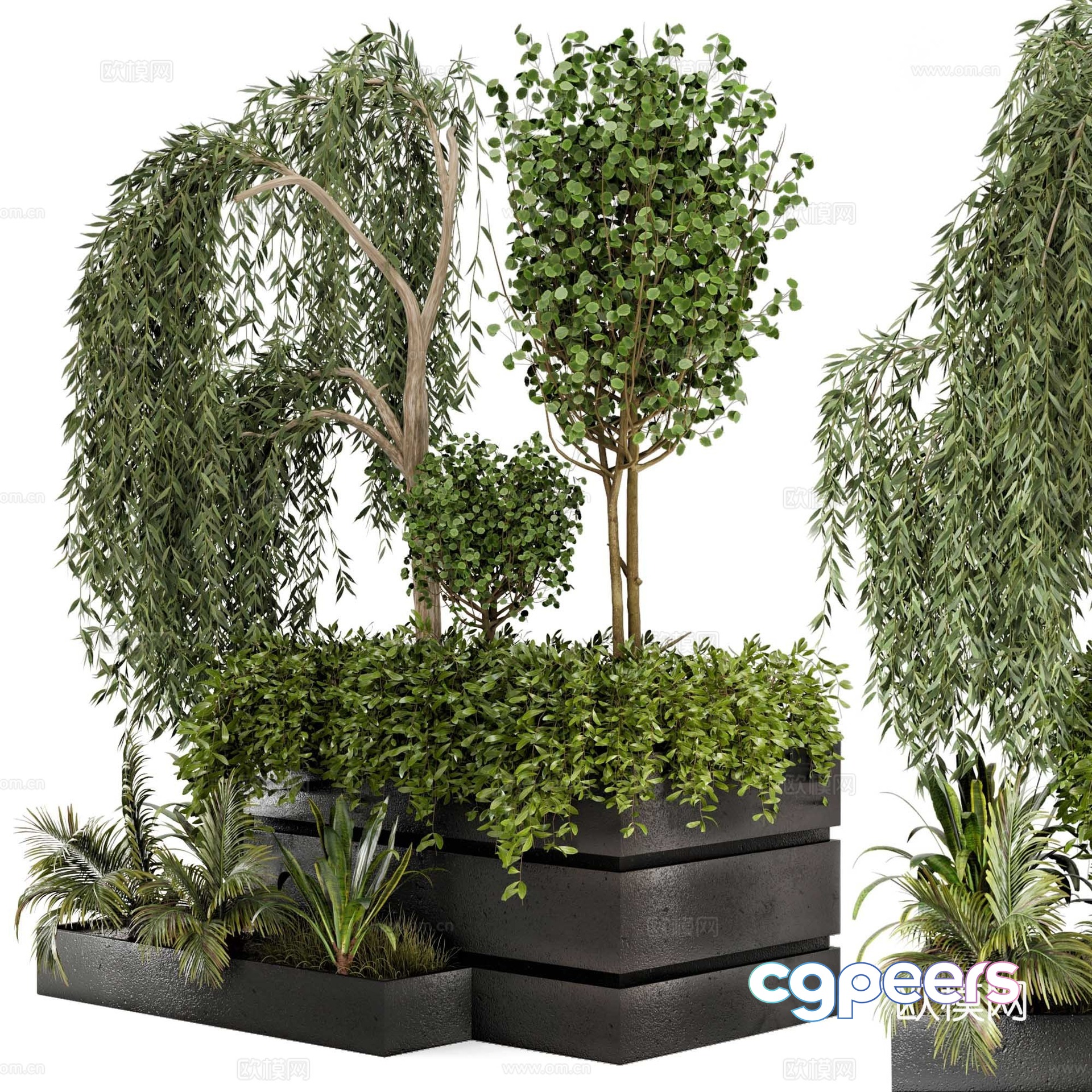 Modern shrub pot plant 3d model Modern shrub pot plant 3d model