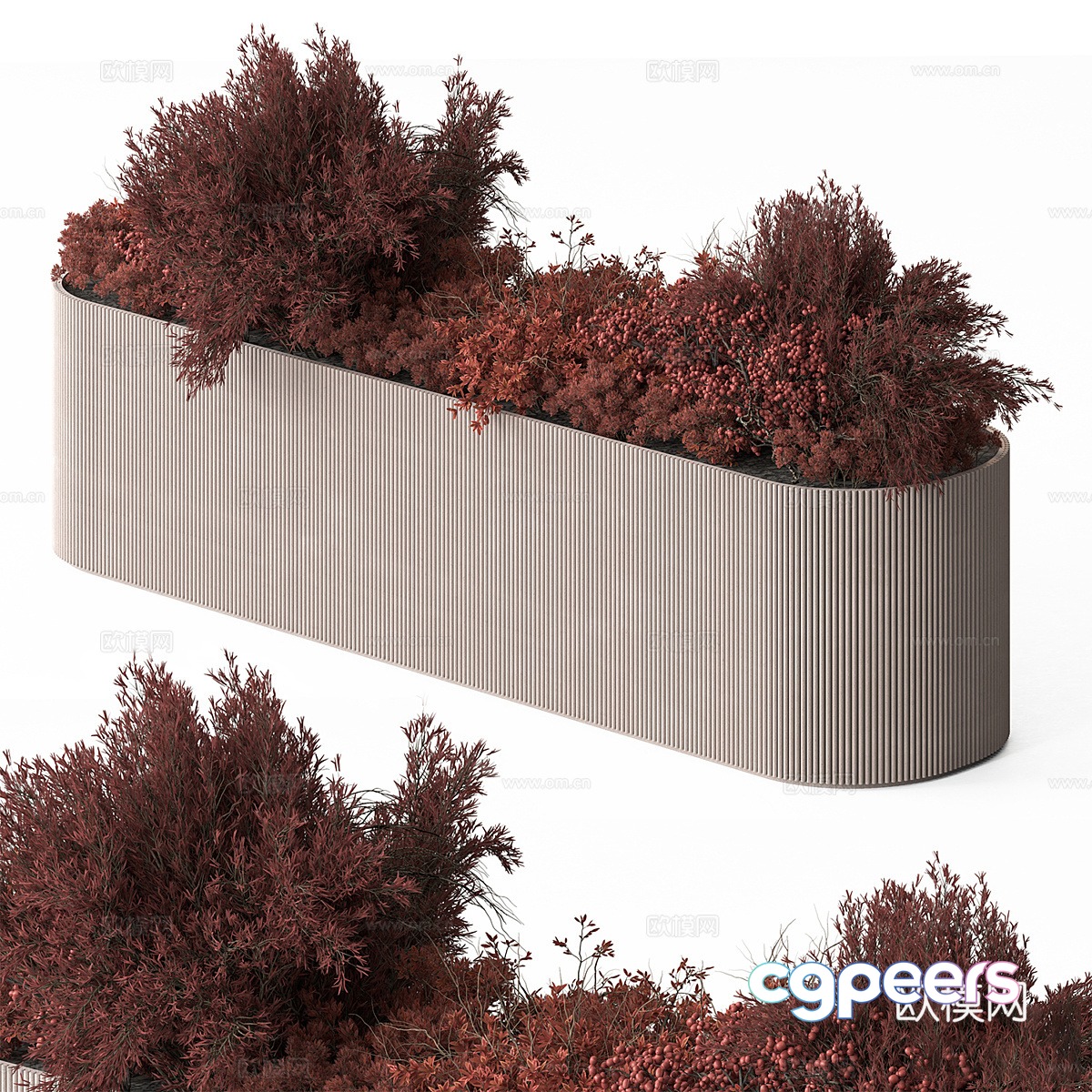 Plant box shrub 3d model Plant box shrub 3d model