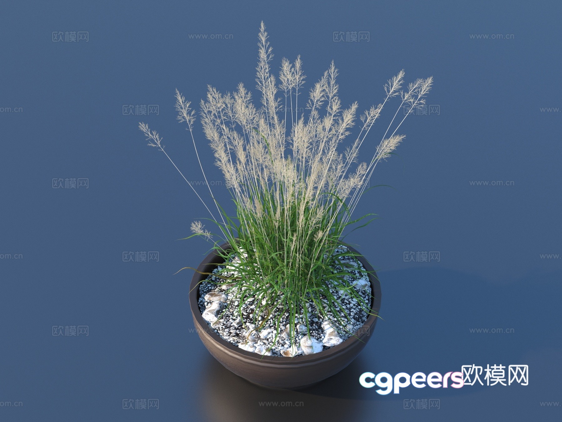 Flower pot pot green plants plant 3d model Flower pot pot green plants plant 3d model