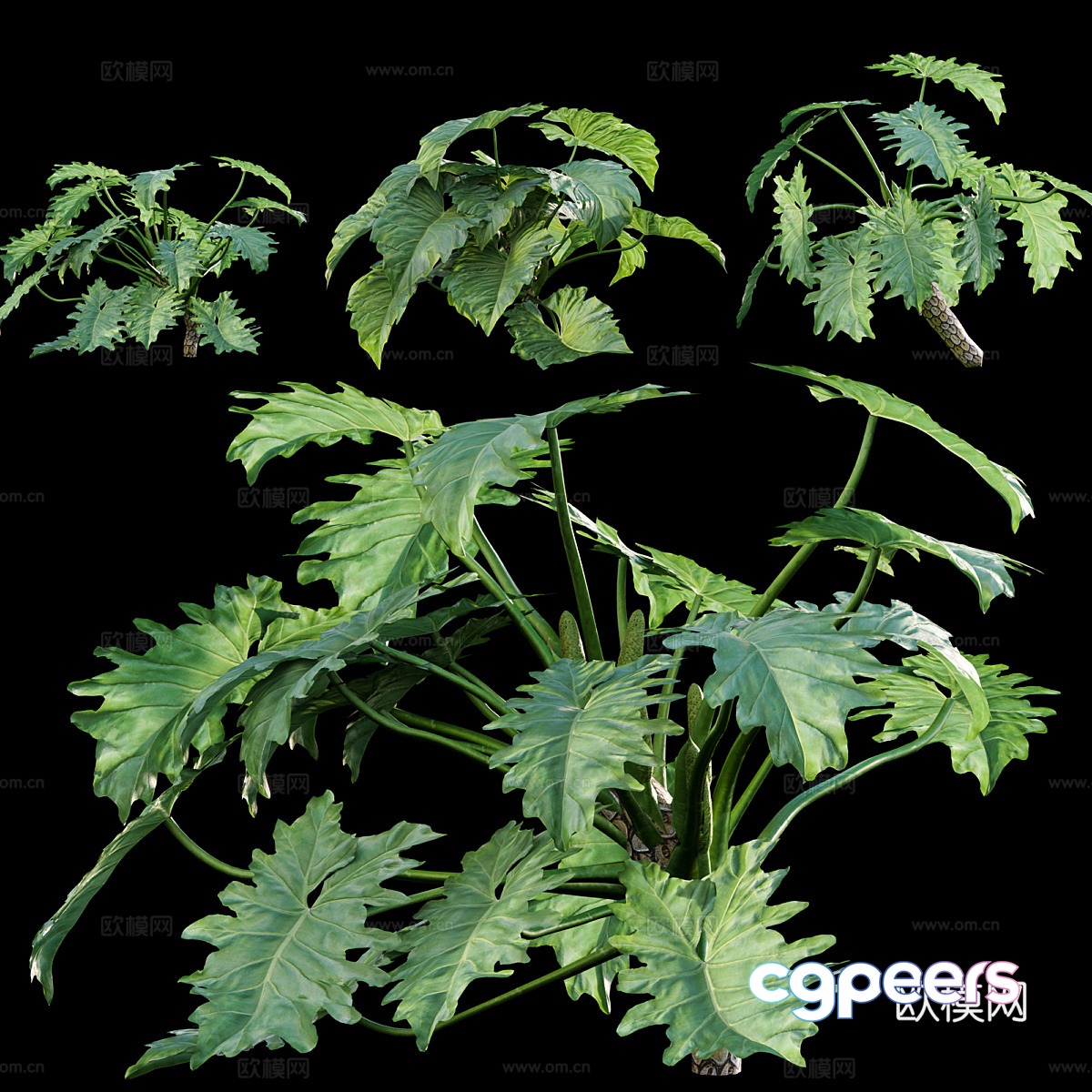 Bryoplant 3d model Bryoplant 3d model