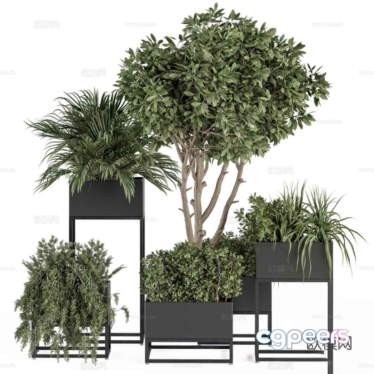 Modern green bonsai pot 3d model Modern green bonsai pot 3d model