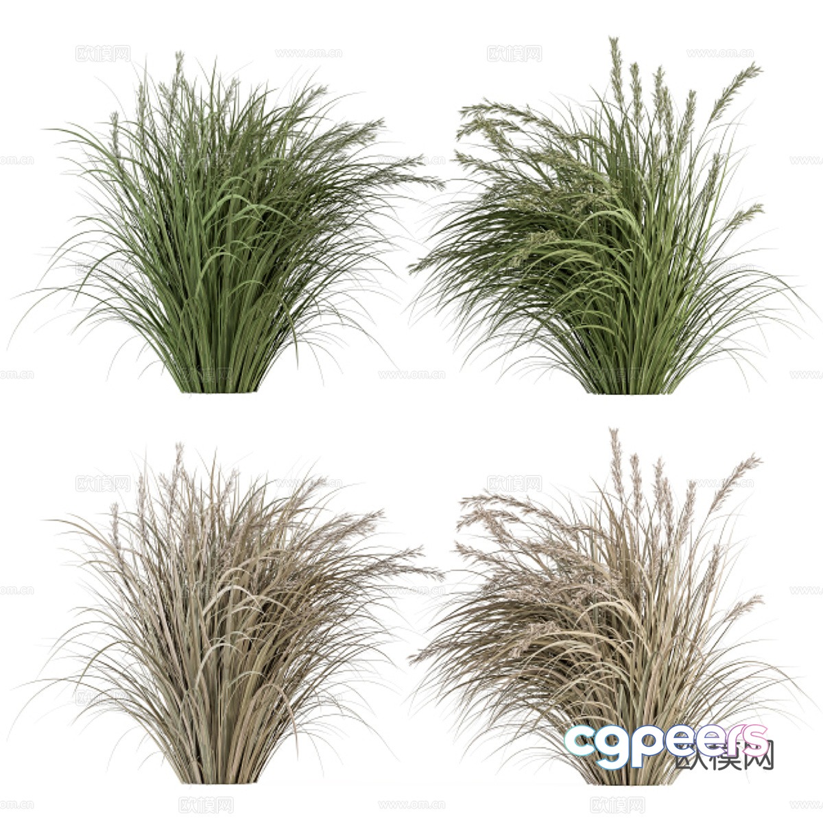Hay green grass 3d model Hay green grass 3d model
