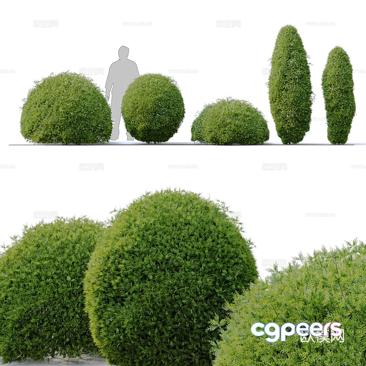 Arboretum 3d model Arboretum 3d model