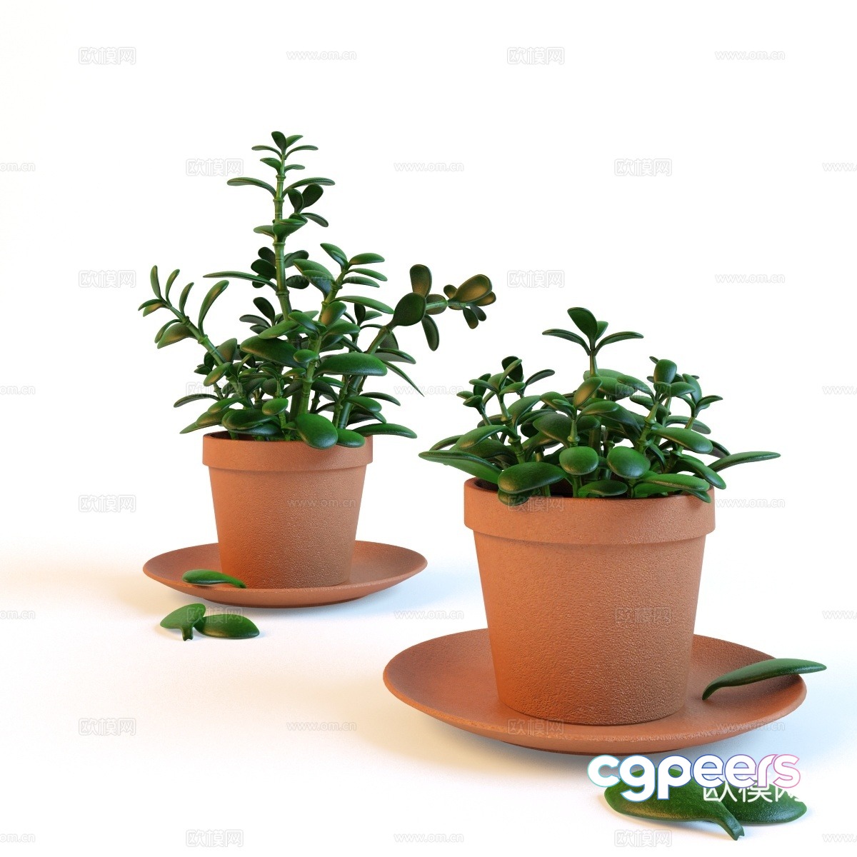 Small potted plant 3D model Small potted plant 3D model