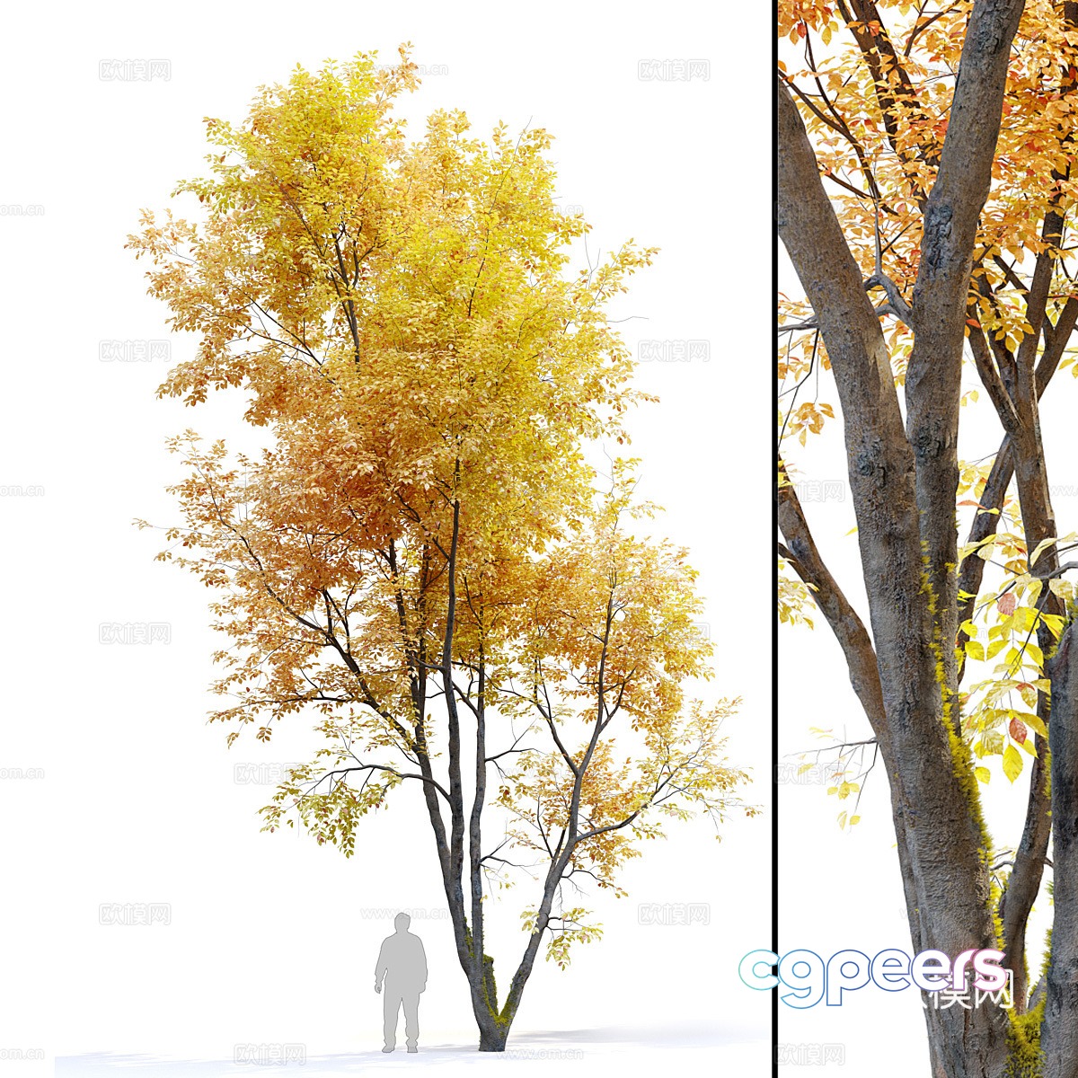 Yellow tree 3d model Yellow tree 3d model