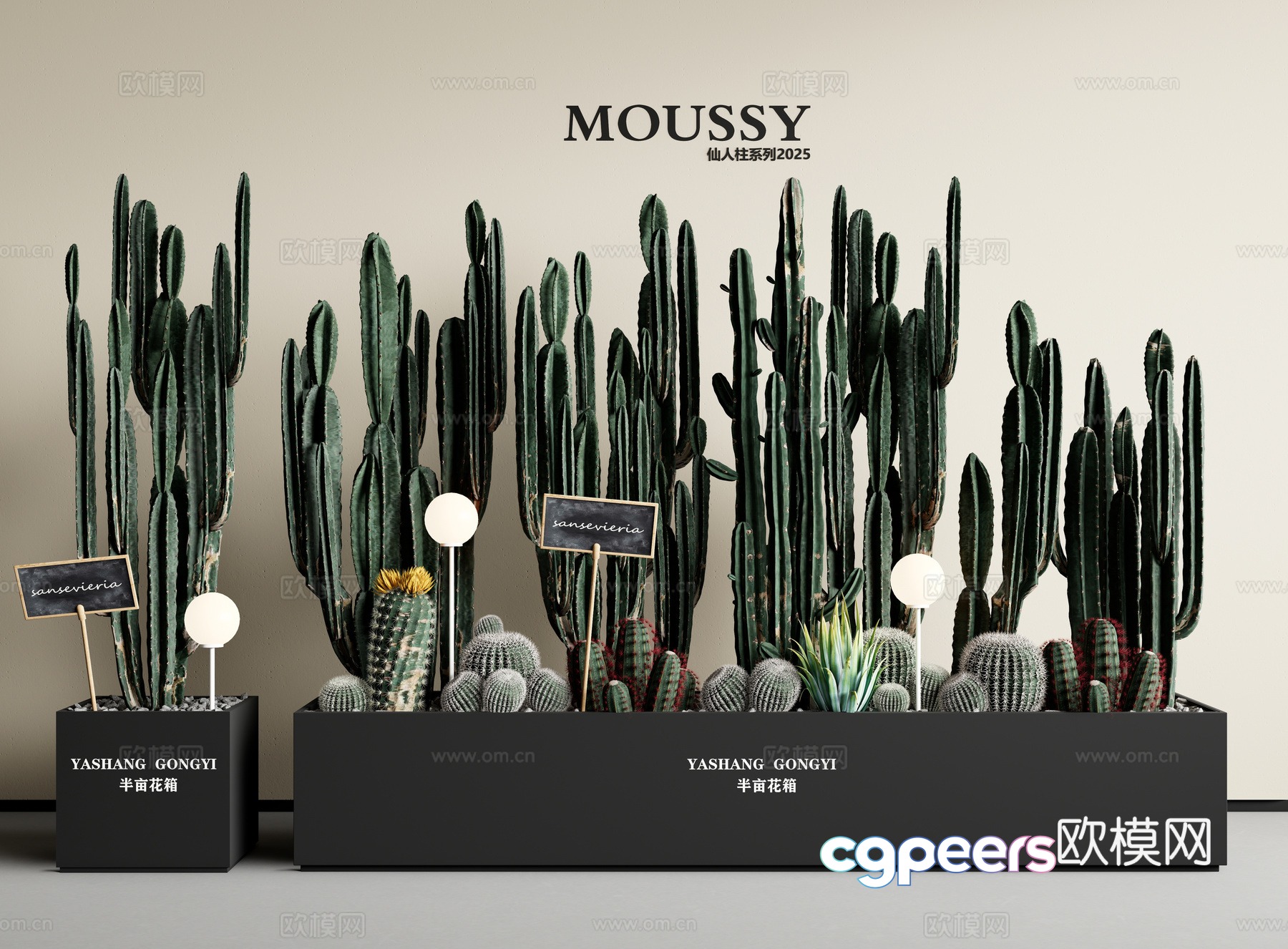 Cactus Cactus column succulent indoor landscape flower box 3D model Cactus Cactus column succulent indoor landscape flower box 3D model