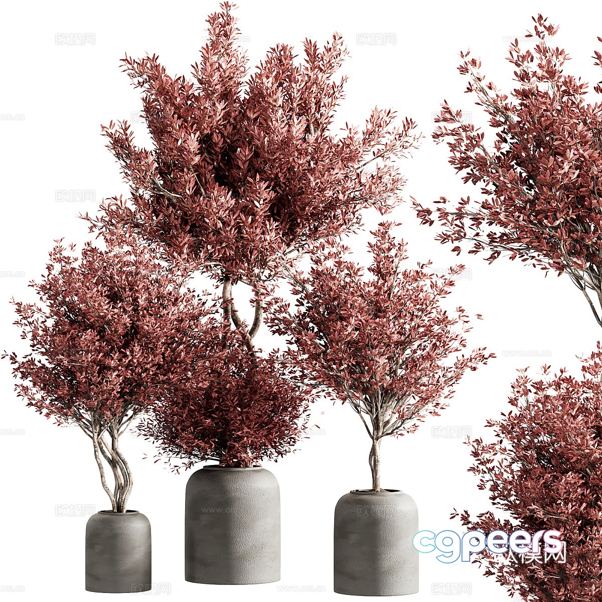 New Chinese potted 3D model New Chinese potted 3D model
