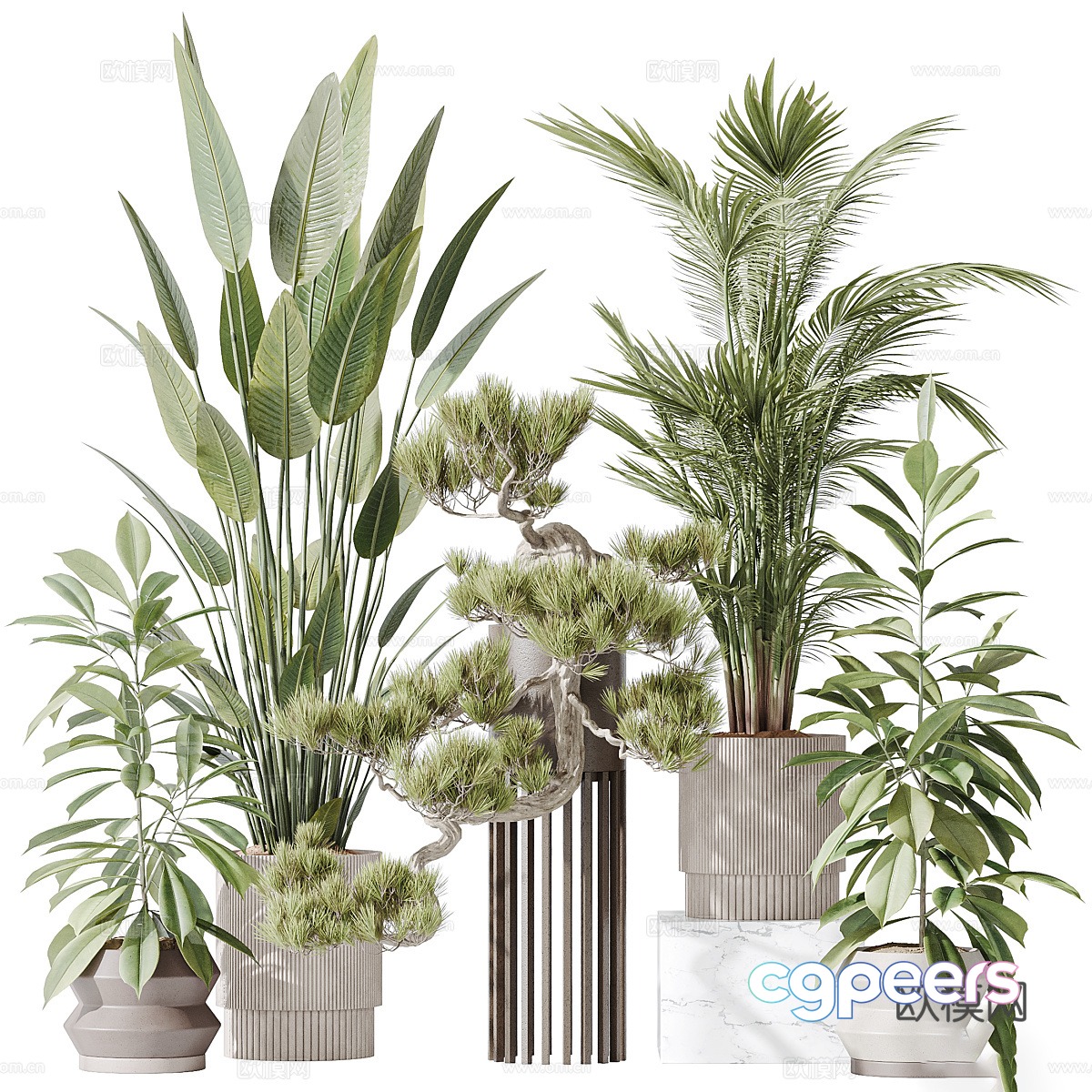 Modern green plant potted 3D model Modern green plant potted 3D model