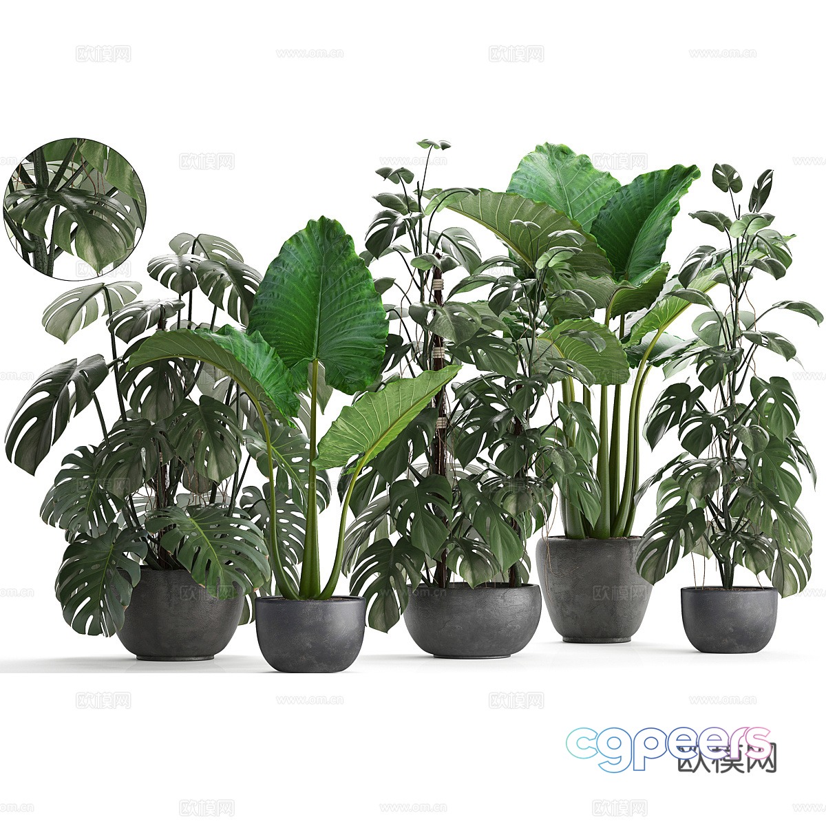 Green plant potted 3D model Green plant potted 3D model