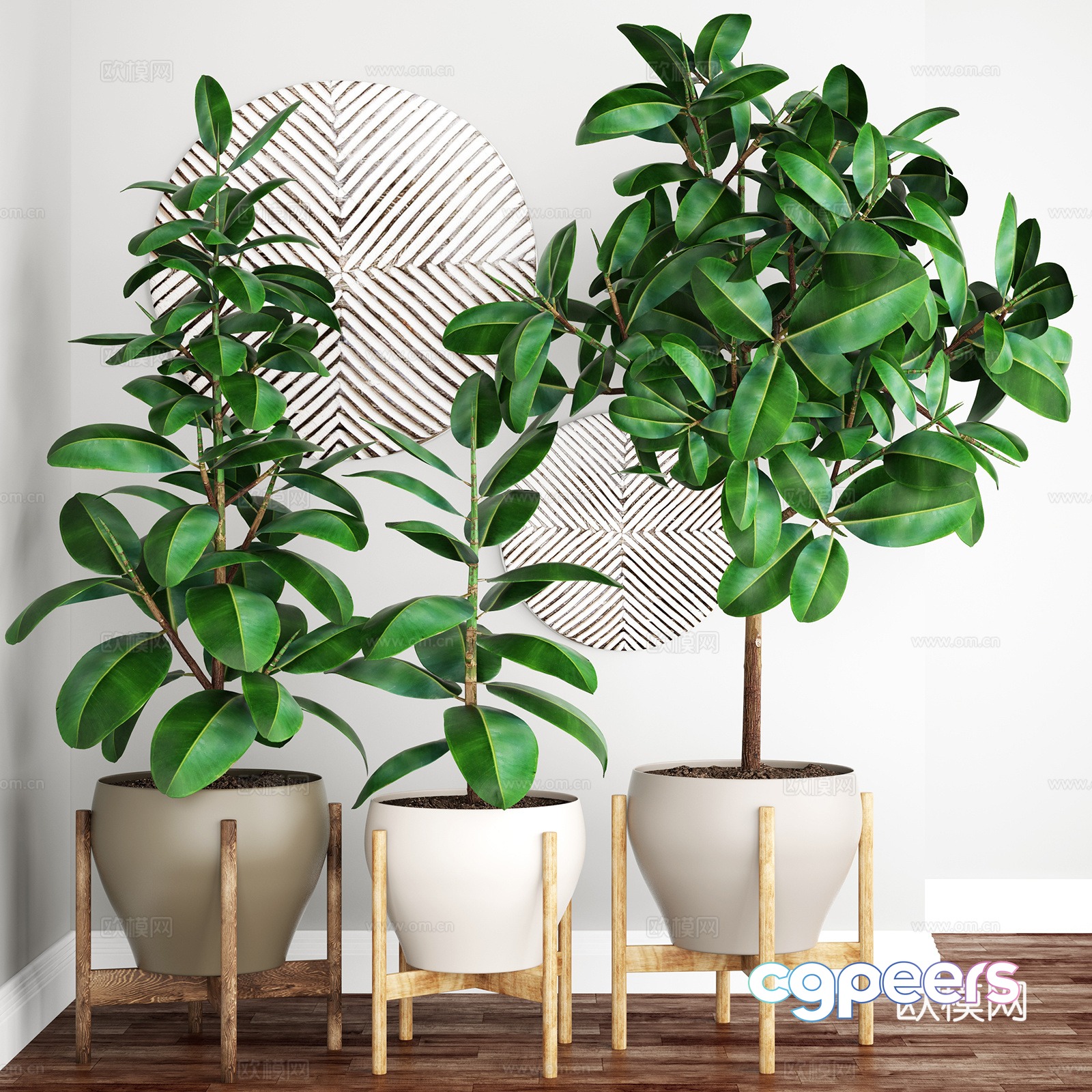 Potted 3D model Potted 3D model
