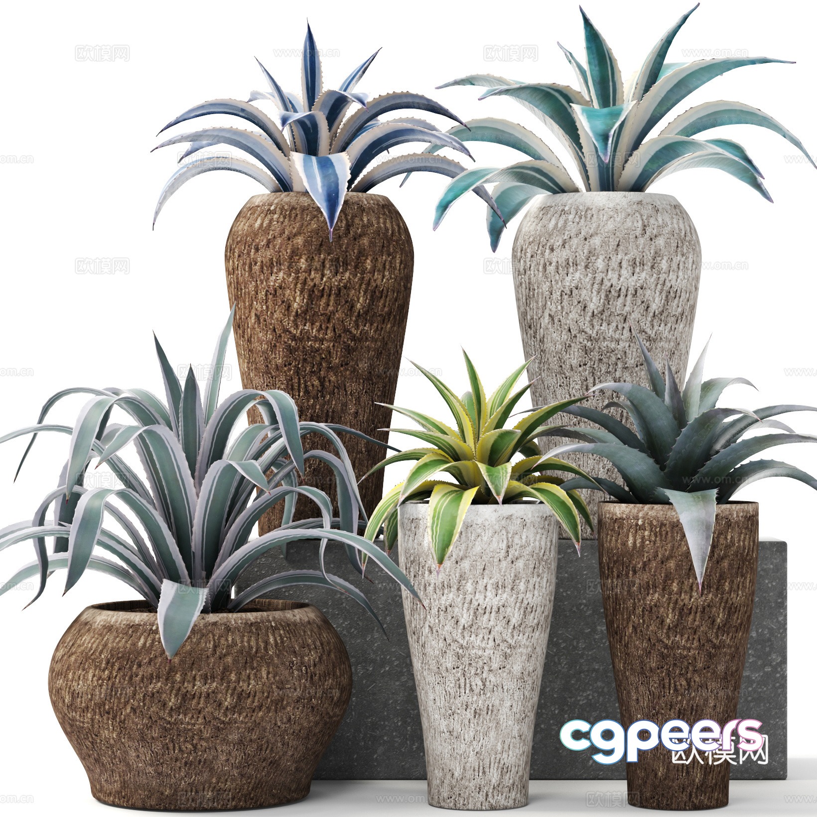 Agave potted plant 3d model Agave potted plant 3d model
