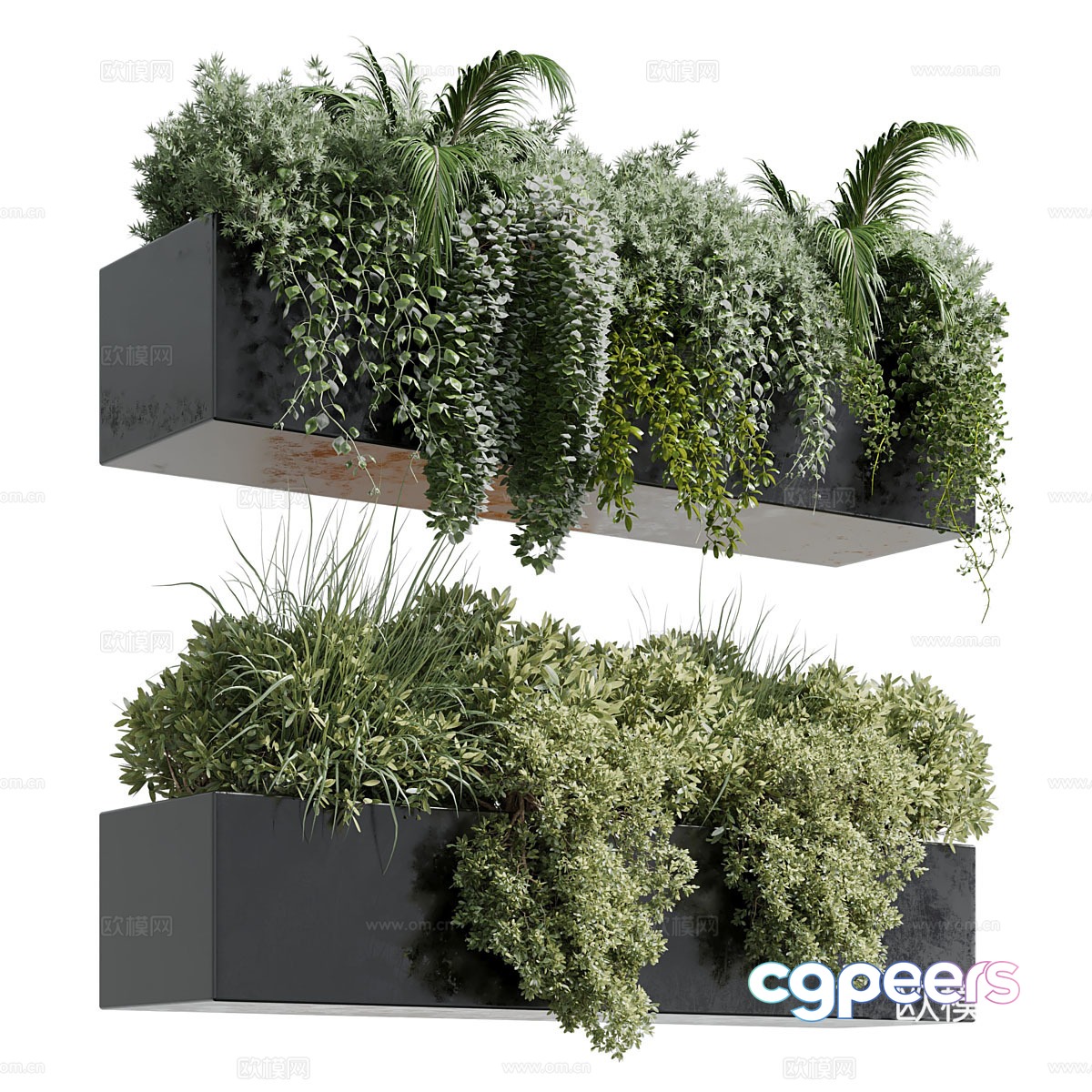 Hanging plant 3d model Hanging plant 3d model