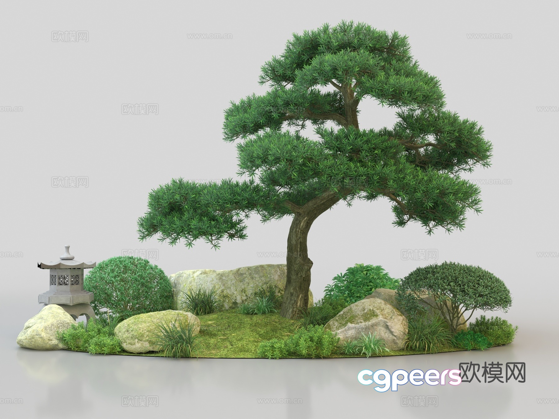 Populus Arhat Shrub Flowers and Plants Cleanup 3D Model Populus Arhat Shrub Flowers and Plants Cleanup 3D Model