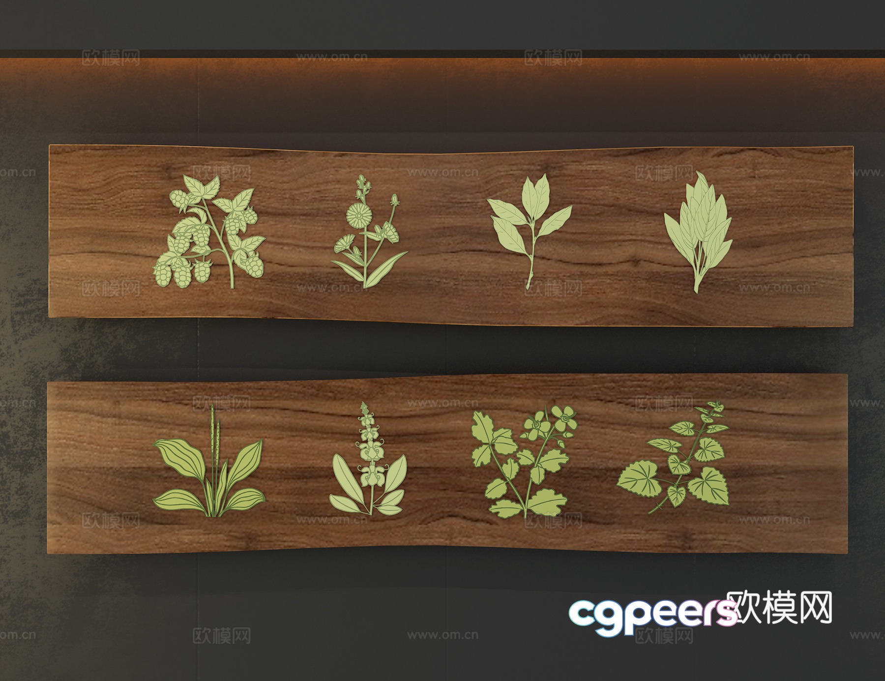 Plant specimens 3D model Plant specimens 3D model
