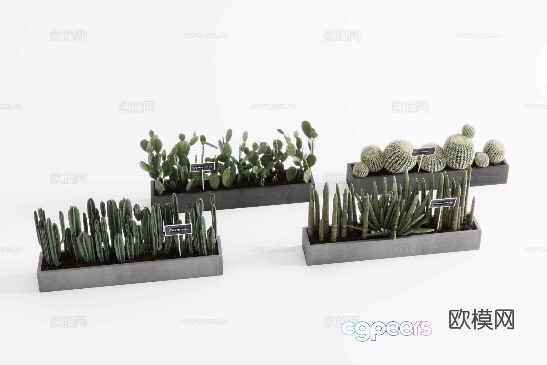 Plants Green Plant Wall Bamboo Landscape Tree 3D Model Plants Green Plant Wall Bamboo Landscape Tree 3D Model