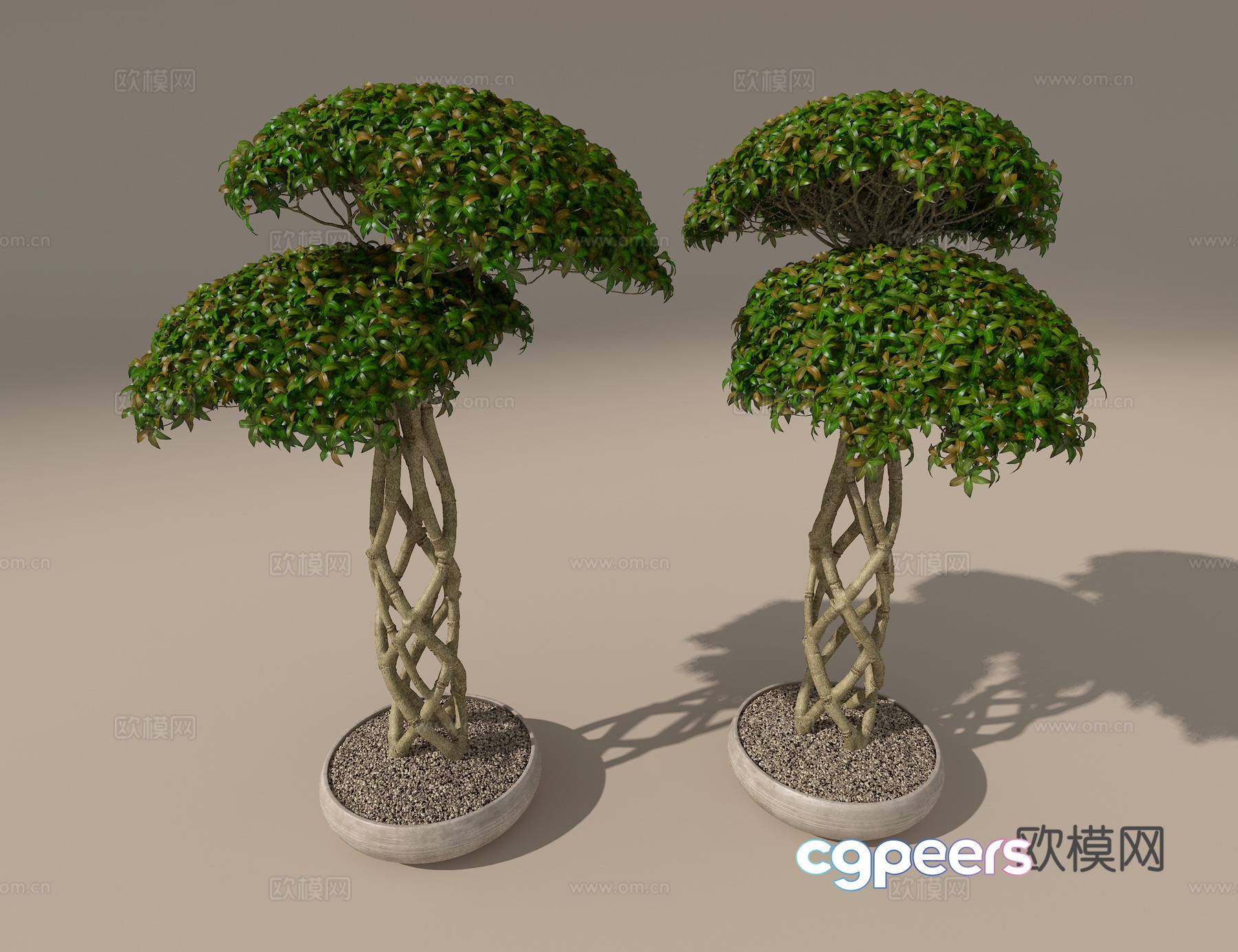 Potted green plants 3D model Potted green plants 3D model