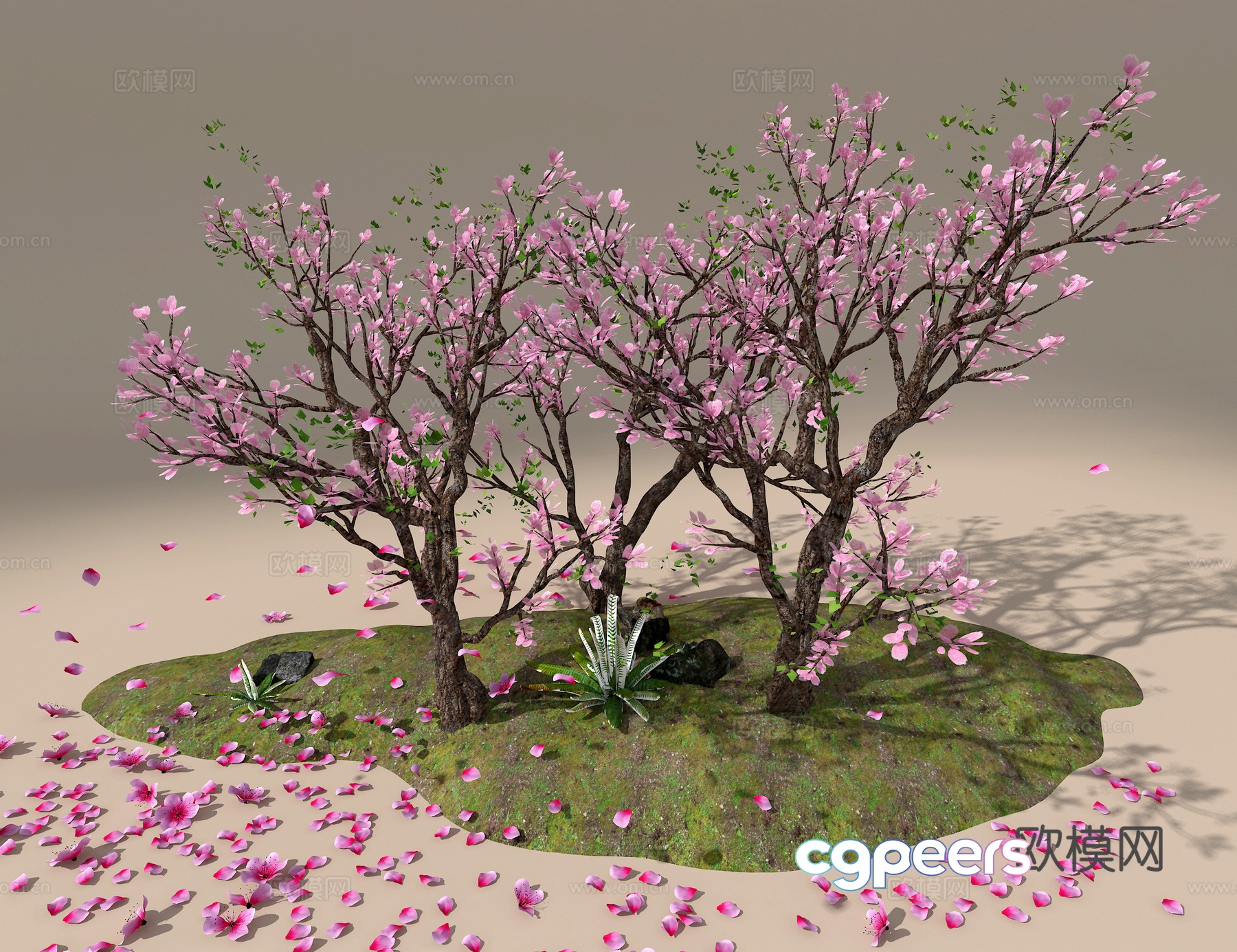 Peach Tree 3D Model Peach Tree 3D Model