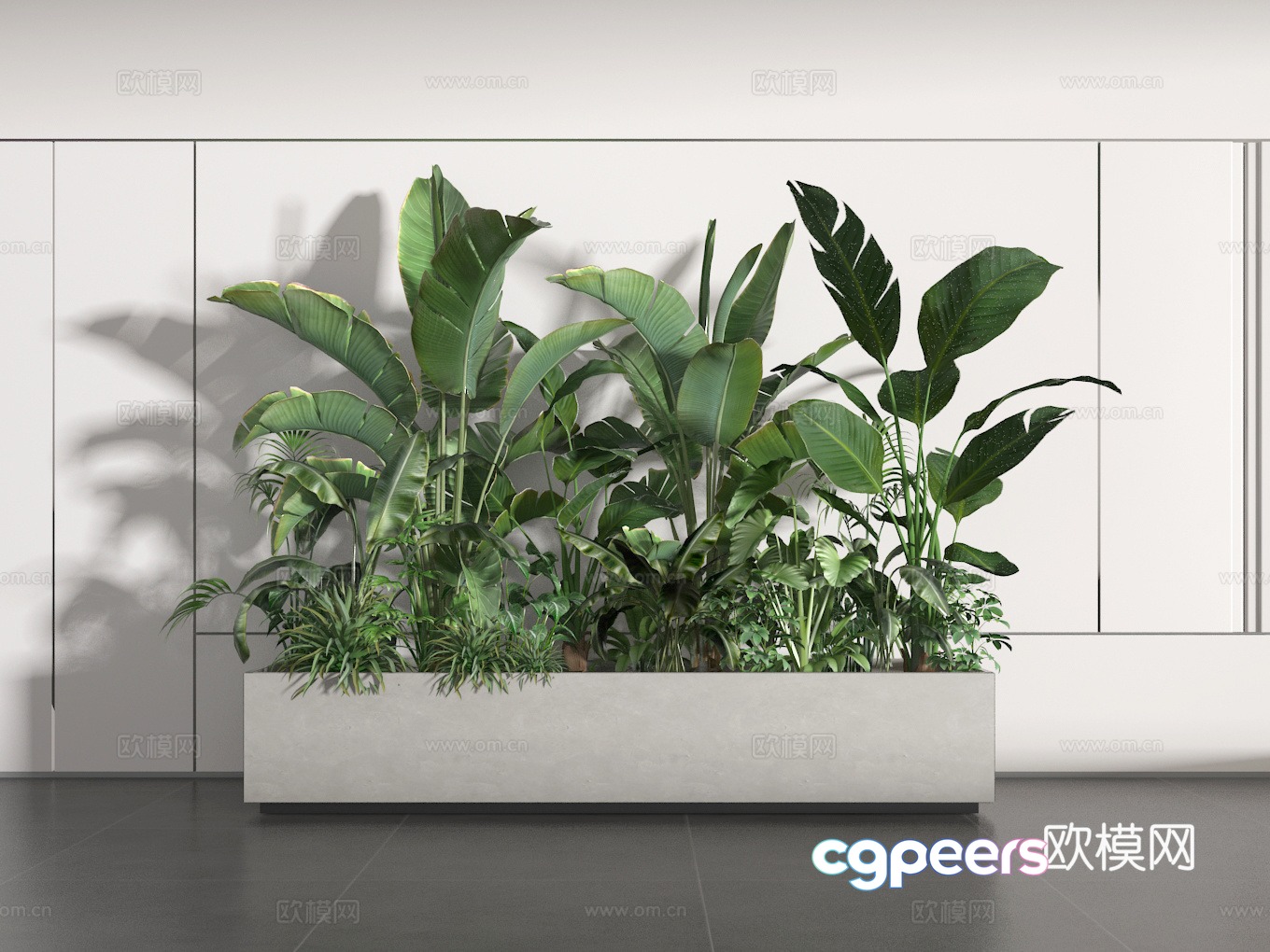 Potted 3D model Potted 3D model
