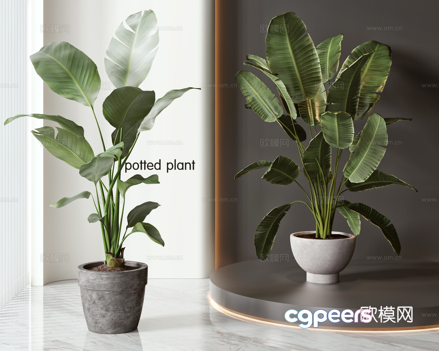 Modern potted bonsai combination 3D model Modern potted bonsai combination 3D model