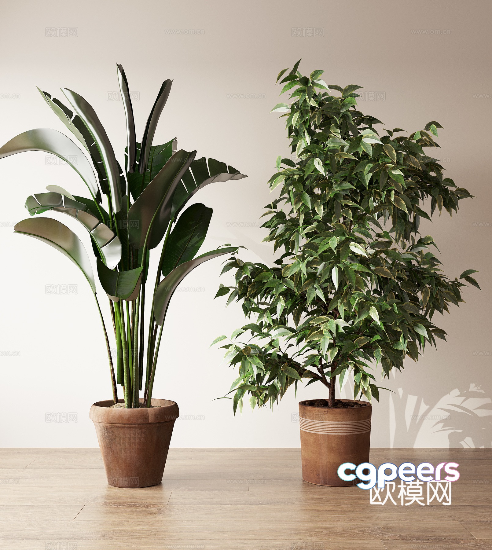 Potted 3D model Potted 3D model