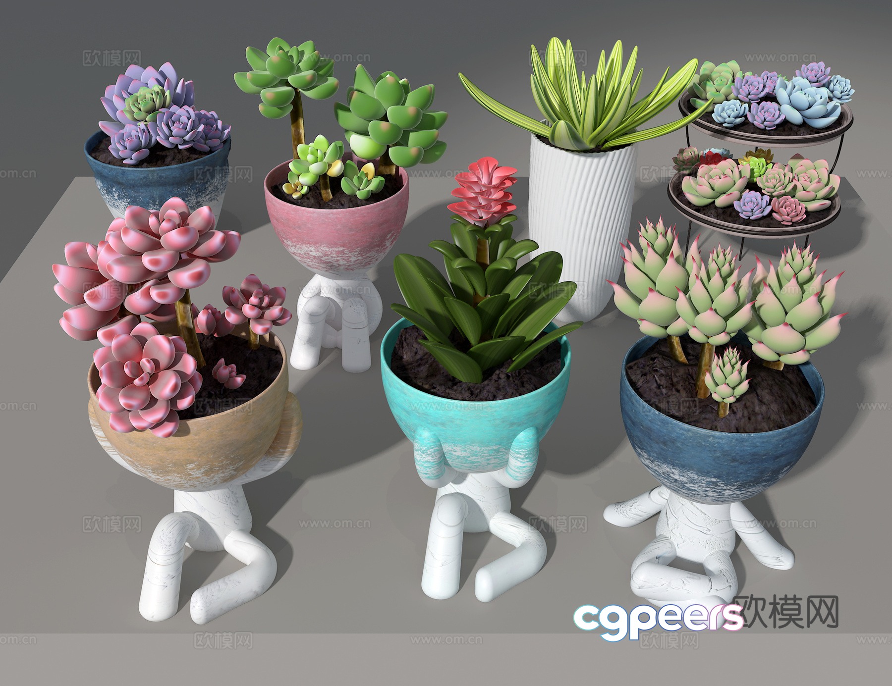 Succulent 3D model Succulent 3D model